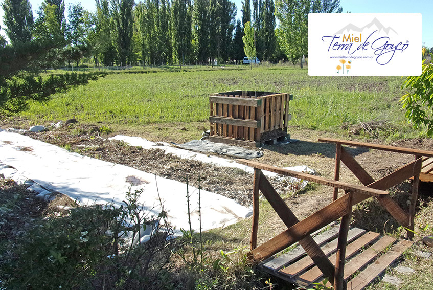 Terra de Goyco Mendoza